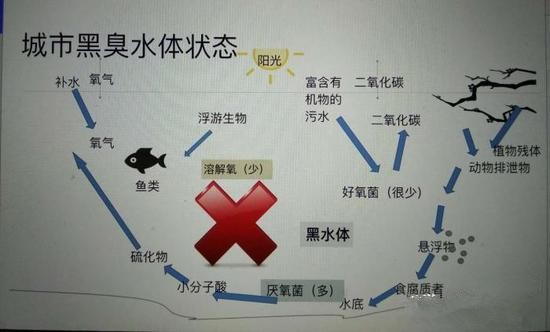 江蘇億元投資治污新技術(shù) 石墨烯能否治理黑臭水體？
