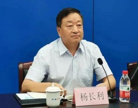 任職總經(jīng)理半年后，楊長利任中廣核董事長