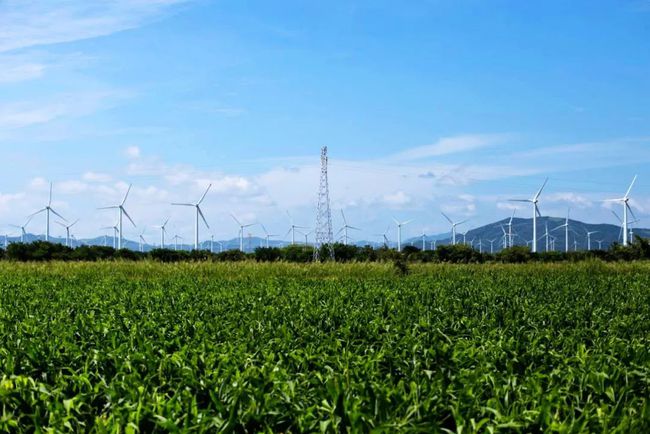收購(gòu)墨西哥818MW光伏電站，國(guó)家電投境外光伏電站裝機(jī)超6GW