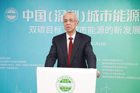 國家能源局原副局長張玉清：城市是能源供應和消