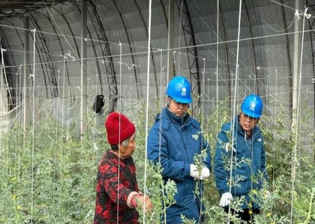 山東惠民供電公司：走訪種植大棚，優(yōu)化農(nóng)業(yè)營(yíng)商環(huán)境
