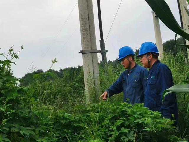 國網(wǎng)長春供電公司積極應(yīng)對極端天氣，確保線路設(shè)備穩(wěn)定運行