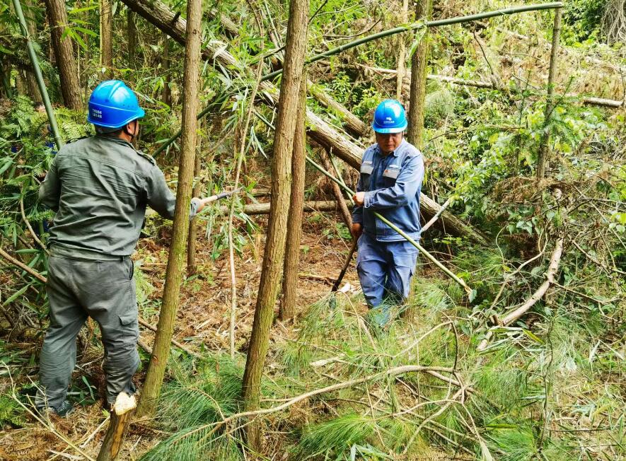 南方電網(wǎng)荔波供電局線路憂患如“猛獸”，通道清通要爭先