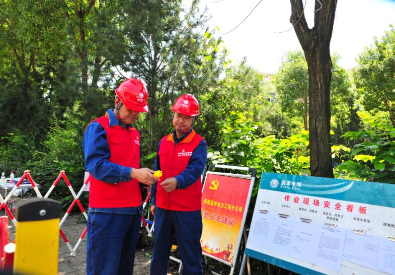 國網(wǎng)藍田縣供電公司黨建+優(yōu)質服務 護航鄉(xiāng)村振興產業(yè)發(fā)展